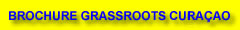 Brochure Grassroots Curacao